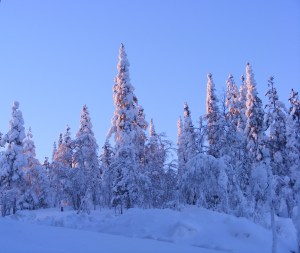 077 23 January 2013 on top of Levi 1