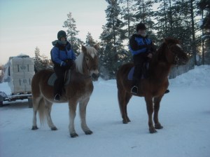 115 25 January 2013 Us on our horses
