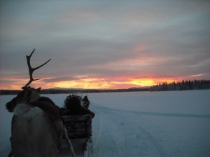 23 January 2913 Homeward Bound