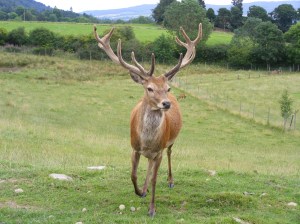 165 8 August 2014 Zoom