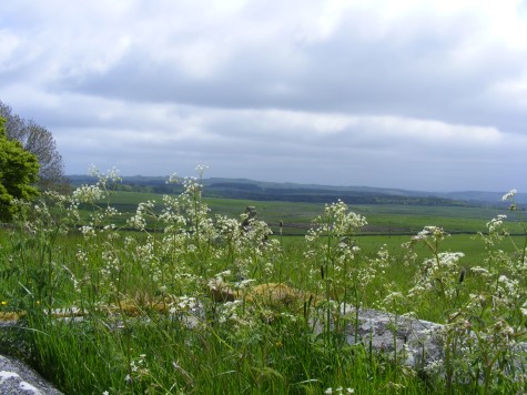 443 Thockrington 2 June 2016