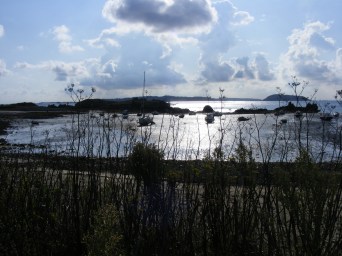 026 St Bordeaux Harbour 18 September 2017