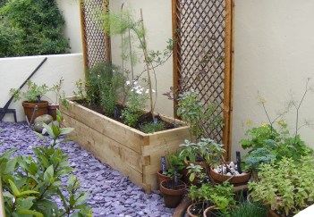 Garden 2 August 2016