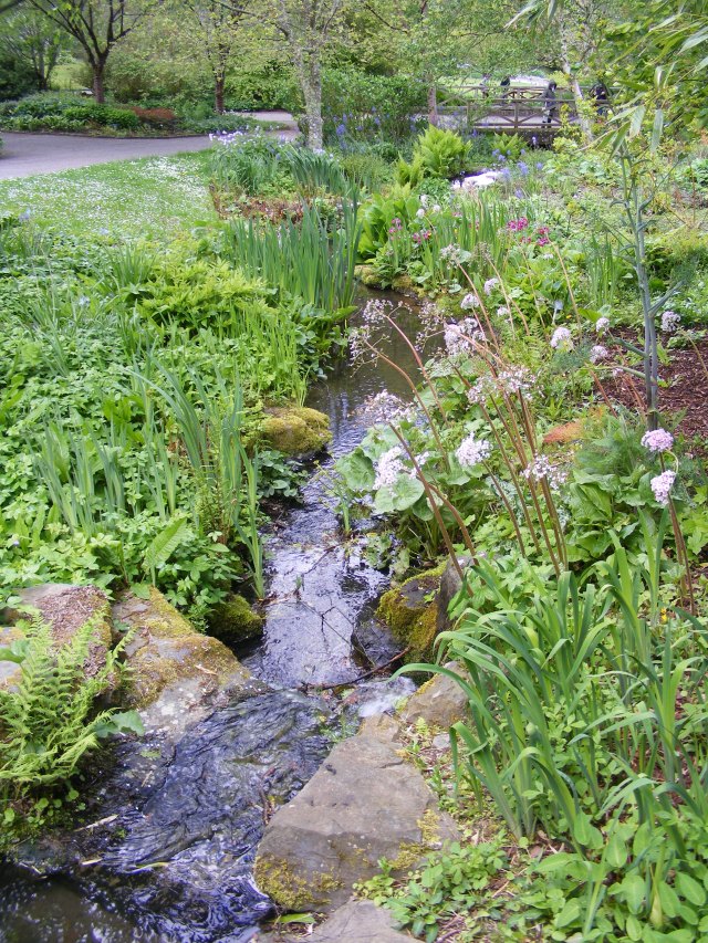 Rosemoor 4 May 2019 (1)