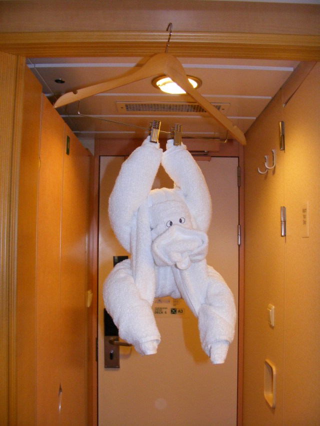 003 23 September 2019 Towel Monkey.JPG