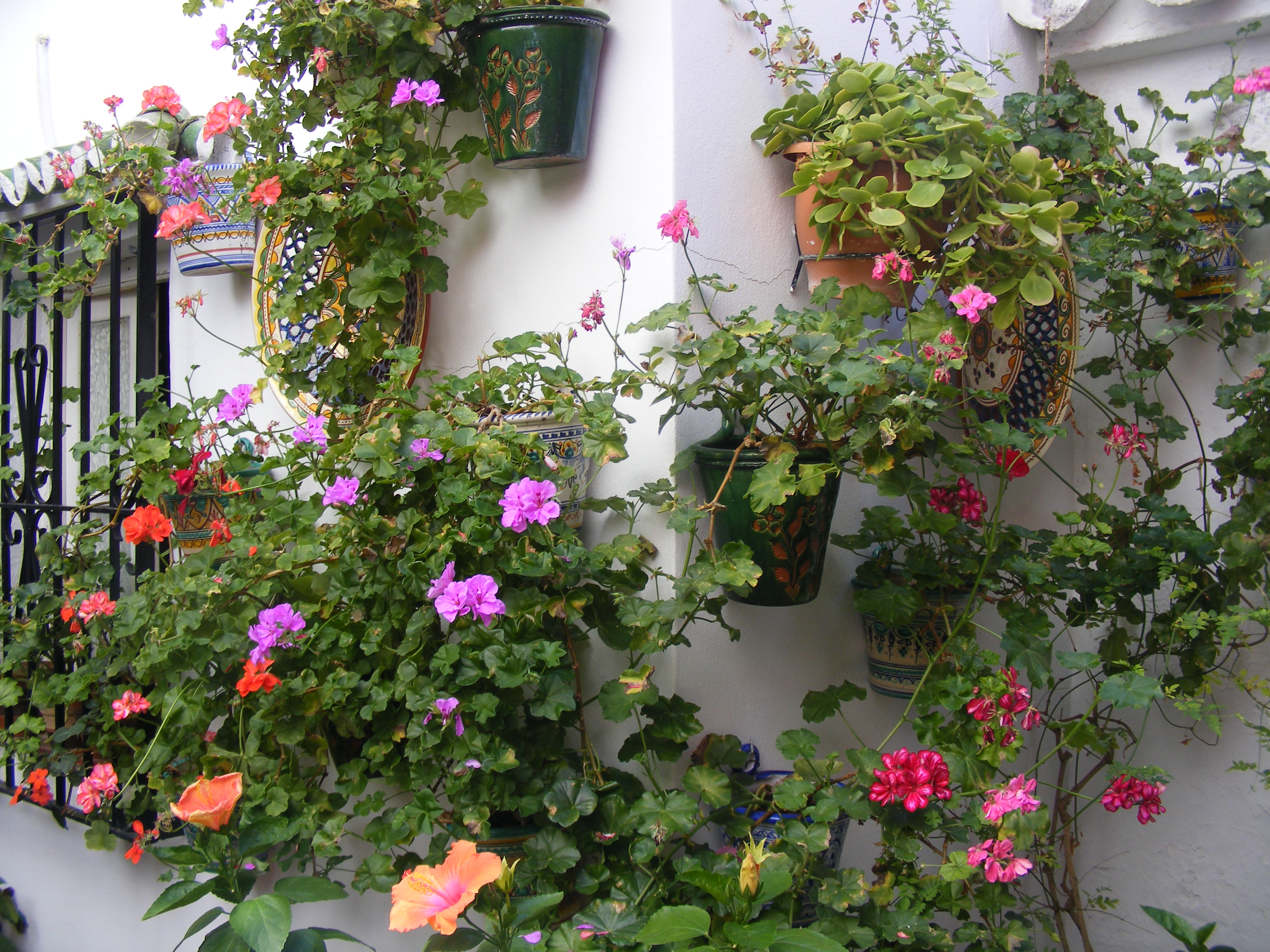 164 30 September 2019 Courtyard, Mijas, Andulucia, Spain.JPG